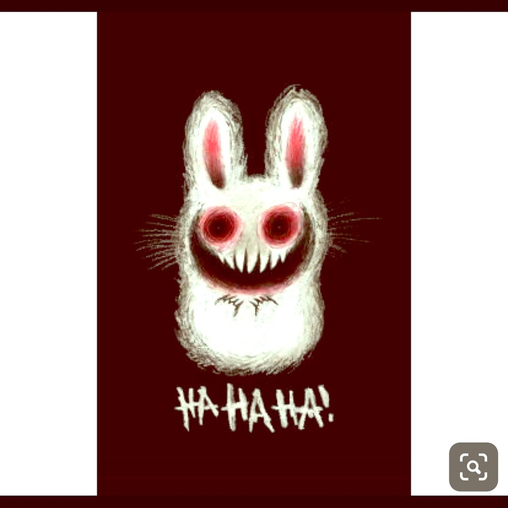 Meet your Posher, Suzi